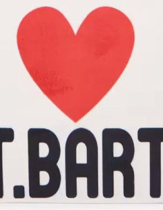 Pochette Aline - MC2 SAINT... 2