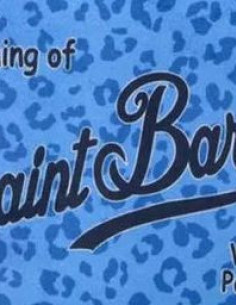 Pochette Aline - MC2 SAINT... 2