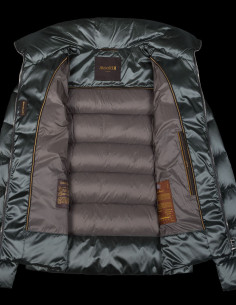 Argentea Hc - MOORER 2